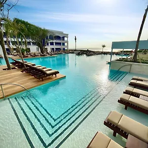 book here